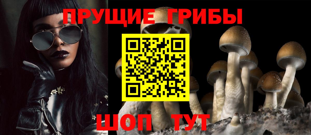 Галлюциногенные грибы прущие грибы  Псилоцибиновые грибы Magic Shrooms  Вход с VPN  Петровск 
